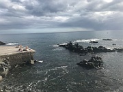 IMG_8884