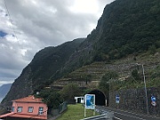 IMG_9010