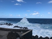 IMG_9058