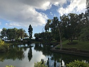 IMG_9124