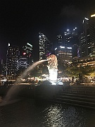 IMG_7084