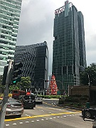 IMG_7119