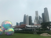 IMG_7156