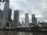 IMG_7184