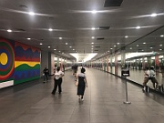 IMG_7208