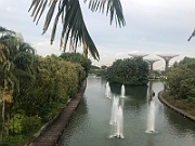 IMG_7210