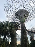 IMG_7212