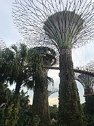 IMG_7213