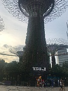 IMG_7214