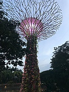IMG_7215