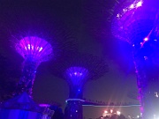 IMG_7229