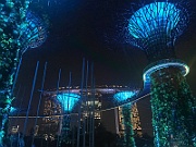 IMG_7232