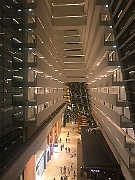 IMG_7237