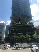 IMG_7239
