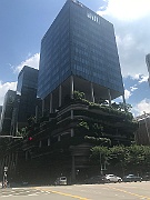 IMG_7240