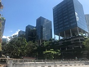 IMG_7241