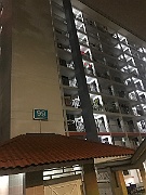 IMG_7255