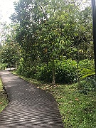 IMG_7259
