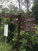 IMG_7260