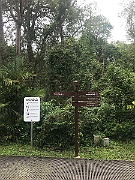 IMG_7261