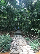 IMG_7262