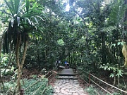 IMG_7263