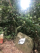 IMG_7264