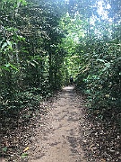 IMG_7265