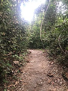 IMG_7266