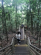 IMG_7269