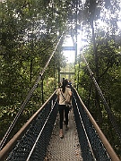 IMG_7270