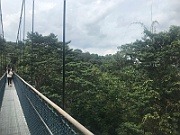 IMG_7272
