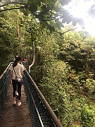 IMG_7276