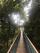 IMG_7277