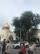 IMG_7287