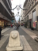 IMG_6476