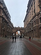 IMG_6495