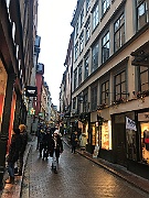 IMG_6511