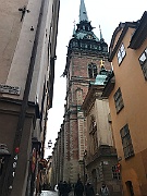 IMG_6513