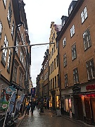 IMG_6518