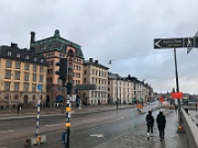 IMG_6520