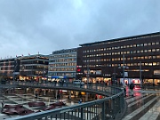 IMG_6528