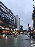 IMG_6537