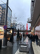 IMG_6538